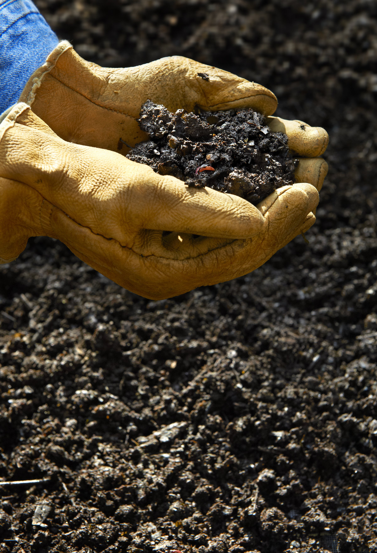 Handen met handschoen en compost (iStock).jpg